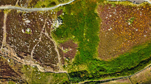 Aerial view of a diverse landscape featuring patches of green vegetation, brown and purple heather, and rocky terrain. The image showcases the natural beauty of the area with winding paths and a variety of plant life.