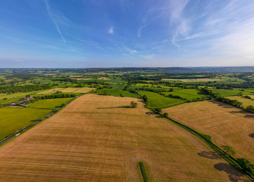 Aerial view of lush green fields with a patchwork of agricultural land under a blue sky with wispy clouds.