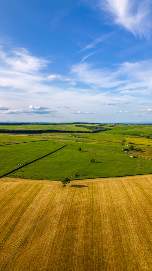 Aerial view of the farm land with clear sky