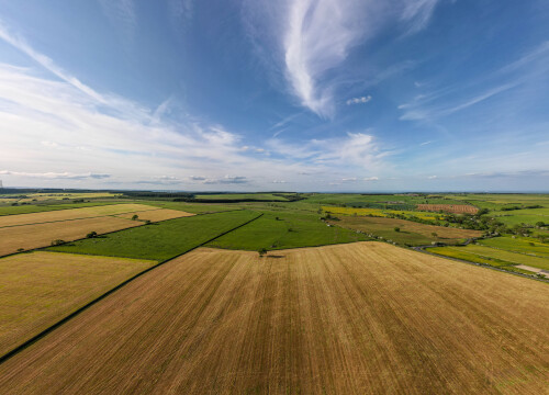 Aerial view of lush green farmland with clear blue sky and wispy clouds.