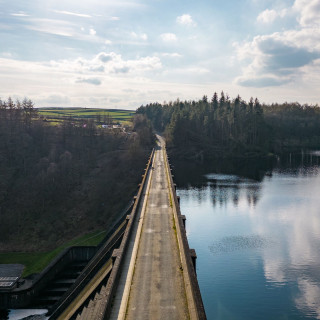 1RVk