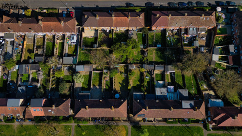 Aerial view of rows of houses with red tile roofs and green gardens, divided by fences, on a sunny day, viewed from directly above in Morden, London, UK.