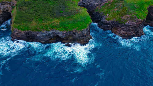Aerial view of rocky coastline with lush green vegetation and crashing waves. The deep blue ocean contrasts with the vibrant greenery on the cliffs, creating a stunning natural landscape.