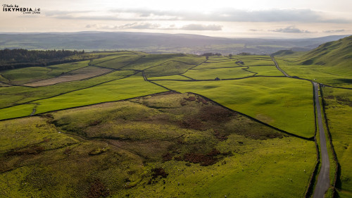 Aerial view of a winding road through lush green countryside at sunset.