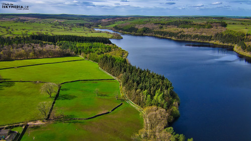 Aerial view of a lush landscape featuring a winding river surrounded by dense forests and vibrant green fields under a clear blue sky.