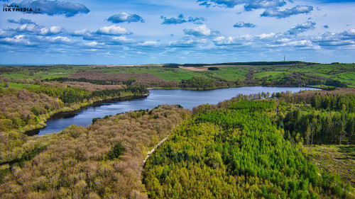 Aerial view of a lush landscape featuring a lake surrounded by dense forests under a clear blue sky.