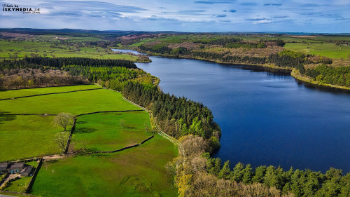 Aerial view of a serene lake surrounded by lush forests and green fields under a clear blue sky.