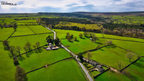 Aerial view of a lush green countryside with a road dividing fields and a small settlement, showcasing vibrant green fields and scattered trees under a clear sky.