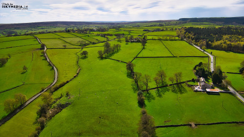 Aerial view of lush green fields divided by hedgerows with a small settlement in rural landscape.