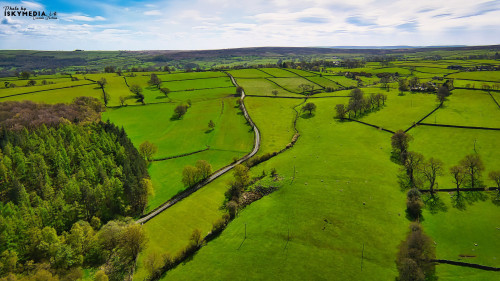 Aerial view of a lush green countryside with a winding road, divided fields, and patches of trees under a clear blue sky.