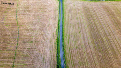 Aerial view of a rural landscape with a narrow road dividing agricultural fields.