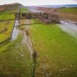 vF6x